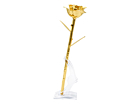 24K Gold Plated Rose Aphroditeproduct thumbnail #5